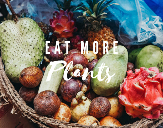 Eat more plants