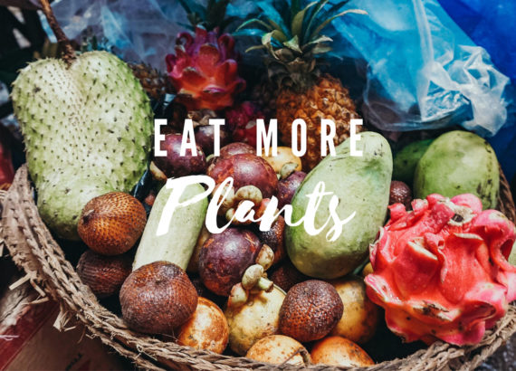 Eat more plants