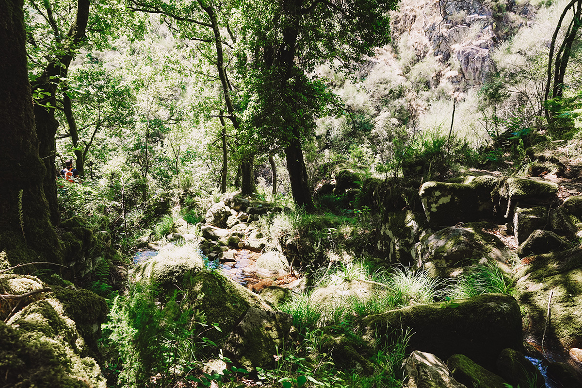 Trekking in Gerês