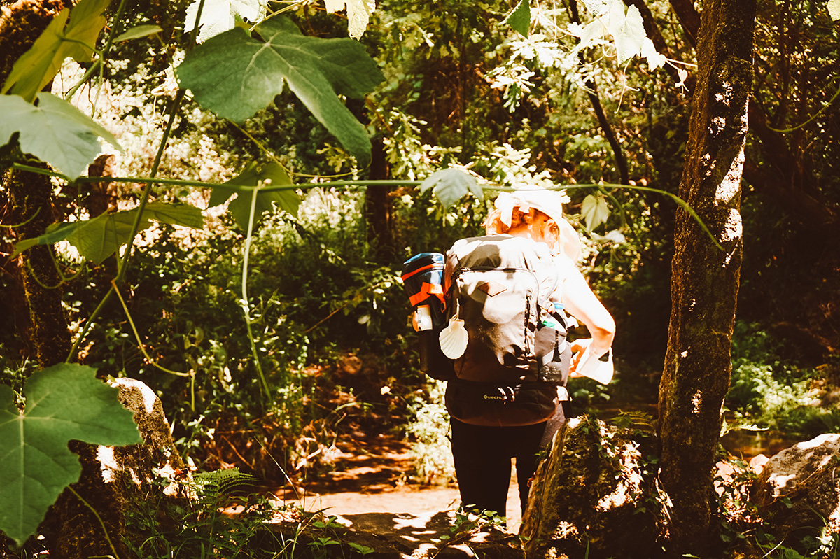 CAMINO DE SANTIAGO