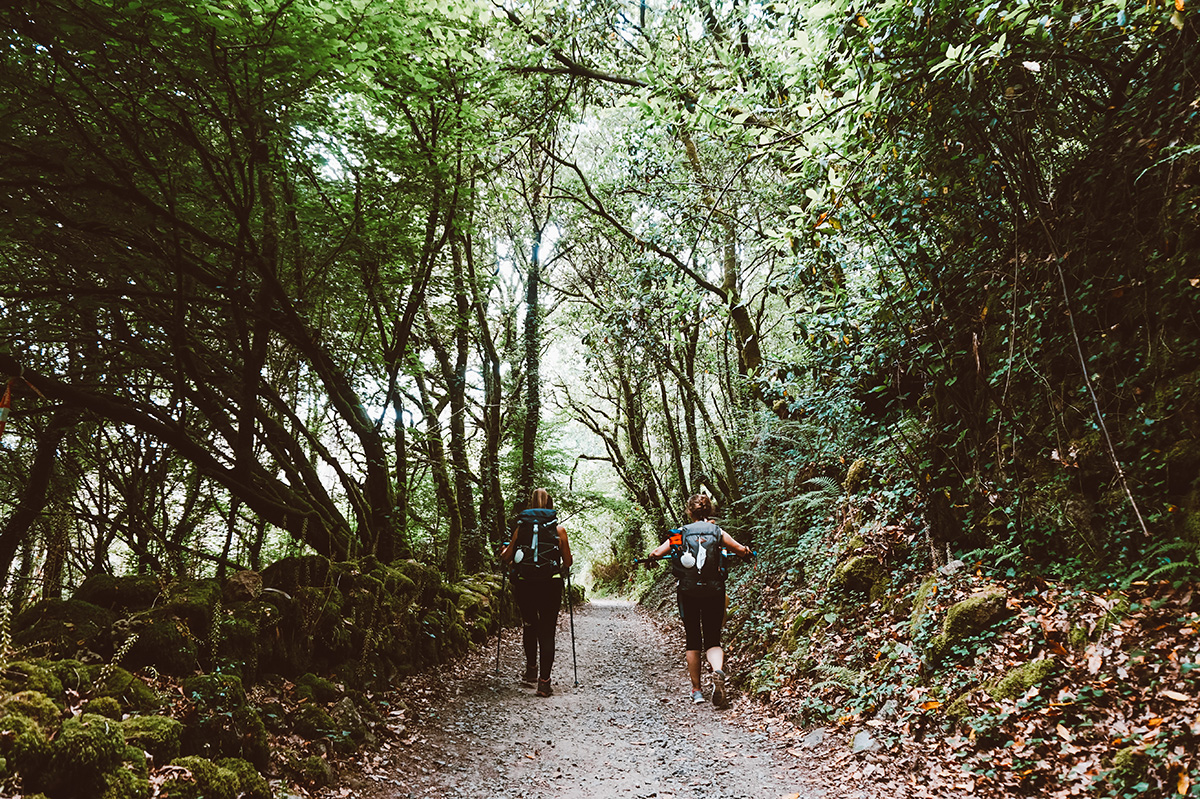 CAMINO DE SANTIAGO